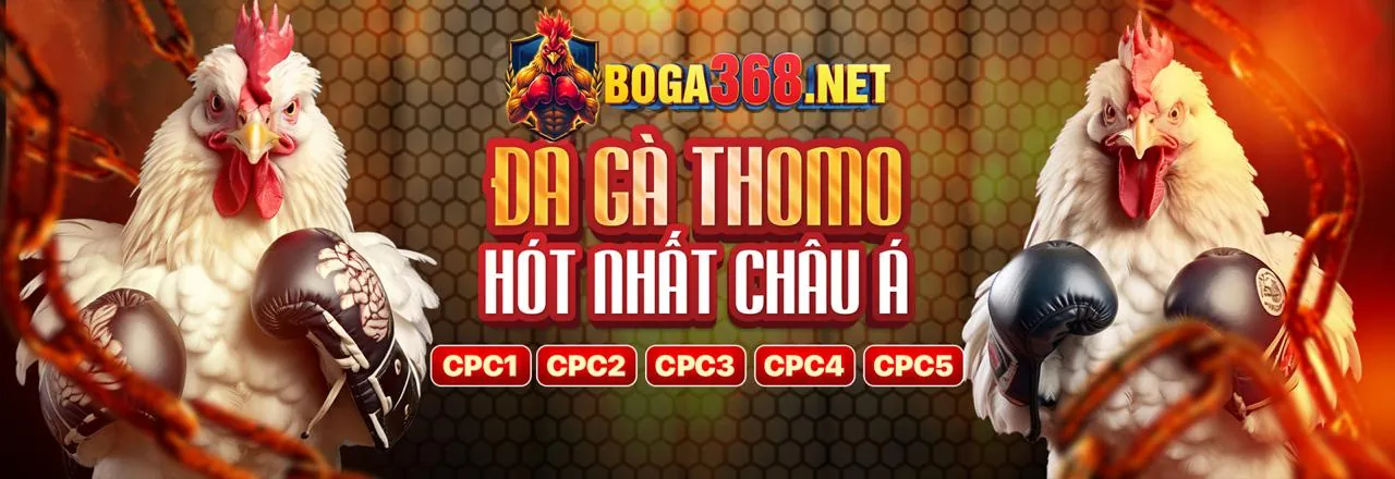Hình ảnh đá gà trực tuyến sôi động trên AZ688